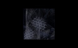 2014 12 15 Shadow Play 045-black.jpg